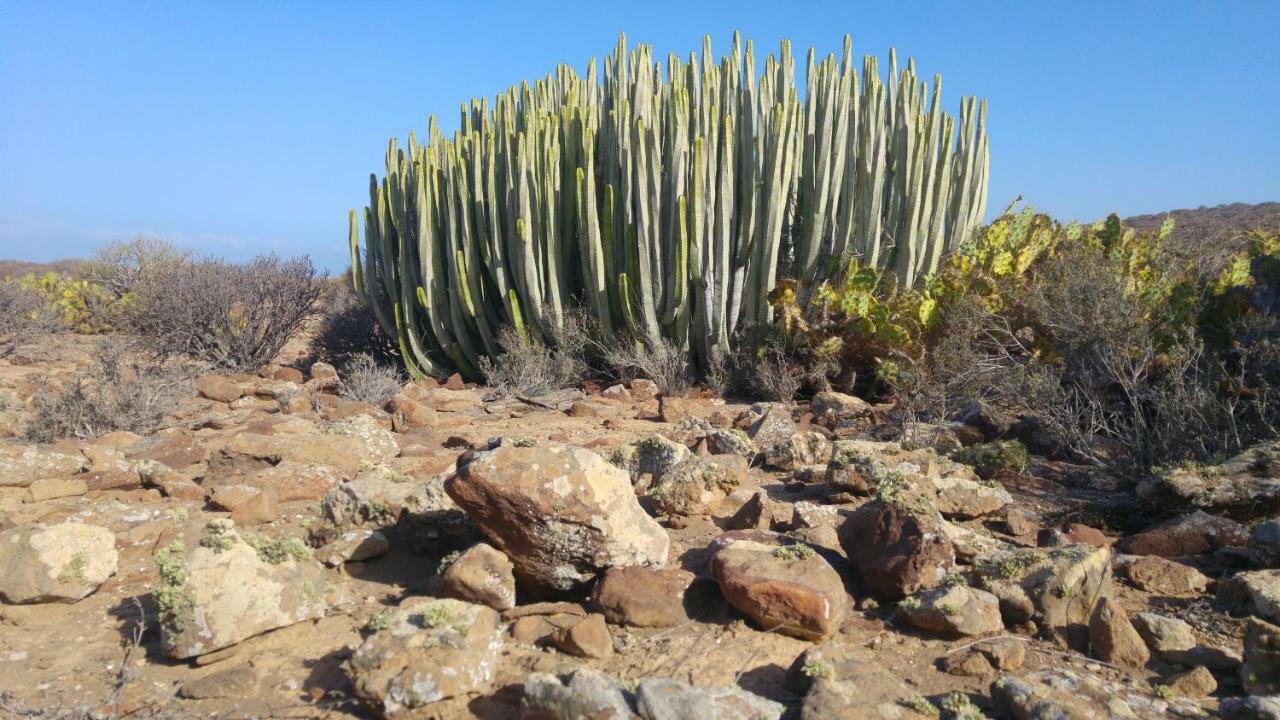 C101 Los Balandros Palm-mar Exteriör bild